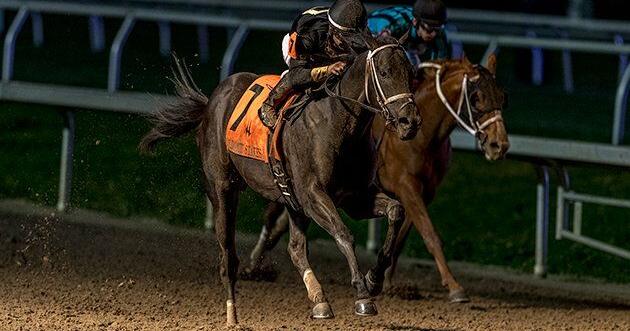 Jeff Duncan: At the Louisiana Derby, this Brad Cox trio headlines a deep, talented field