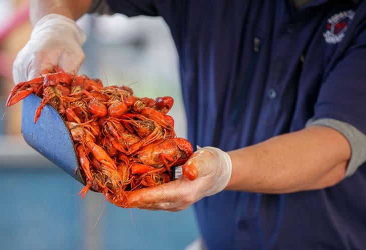 Louisiana Crawfish Festival 2023 back in St. Bernard Parish Louisiana