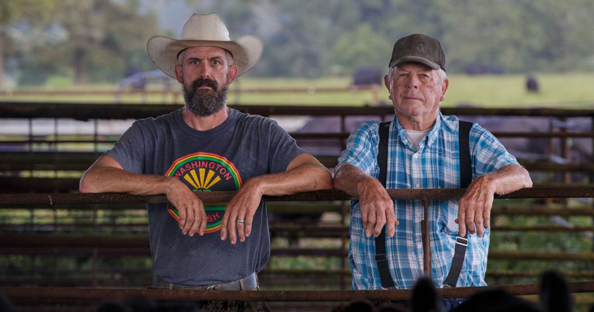Selling steaks has helped keep a Louisiana rancher afloat. A legal fight could sink him.