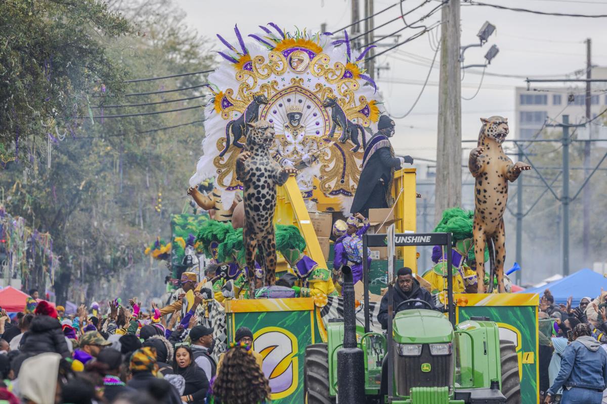 nola mardi gras rules