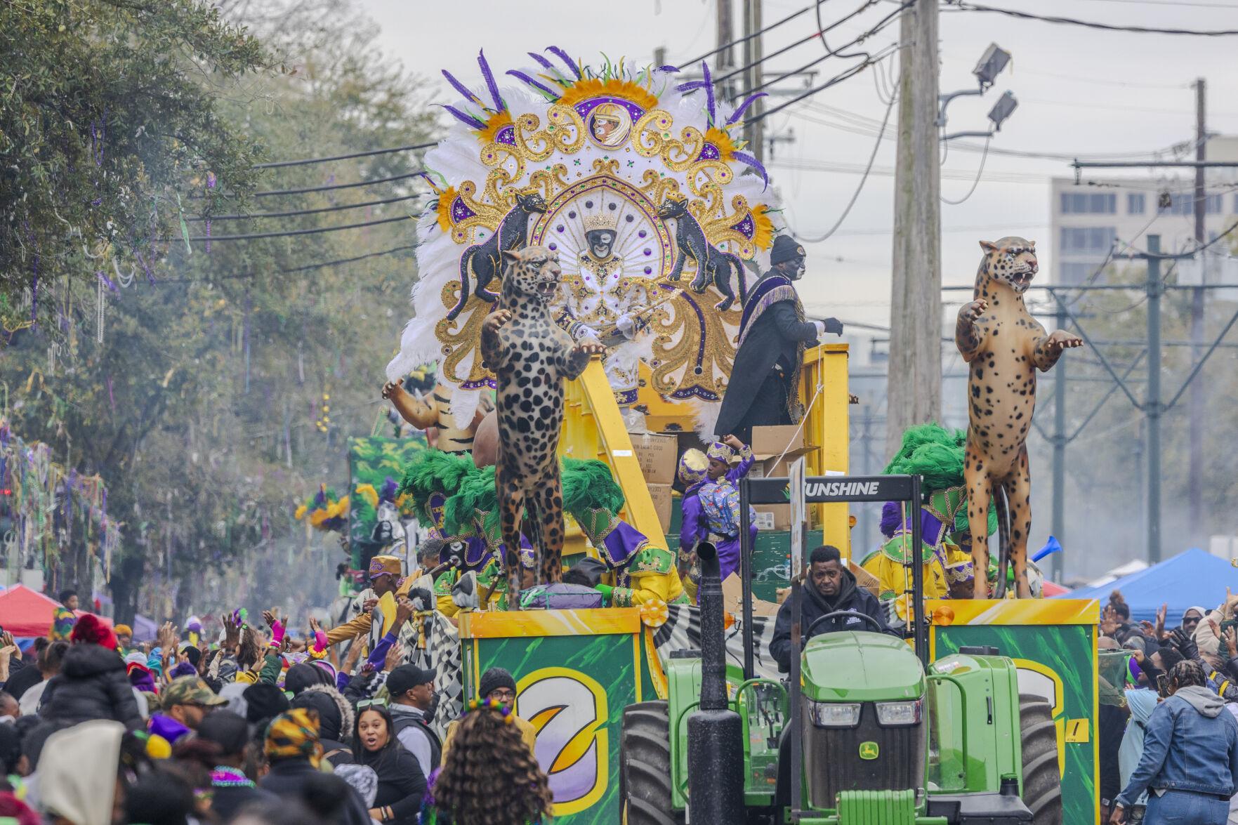 mardi gras rules