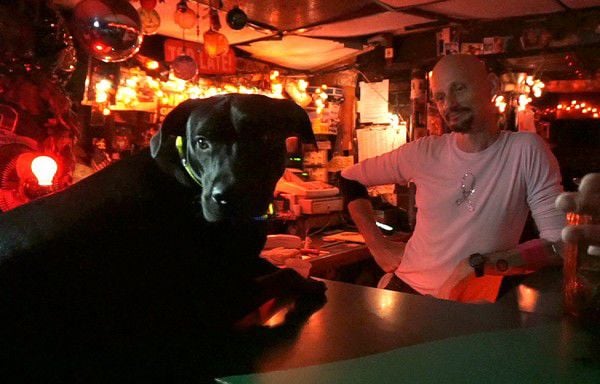 Dive bar dog does shots for charity at Snake and Jake's in New Orleans ...