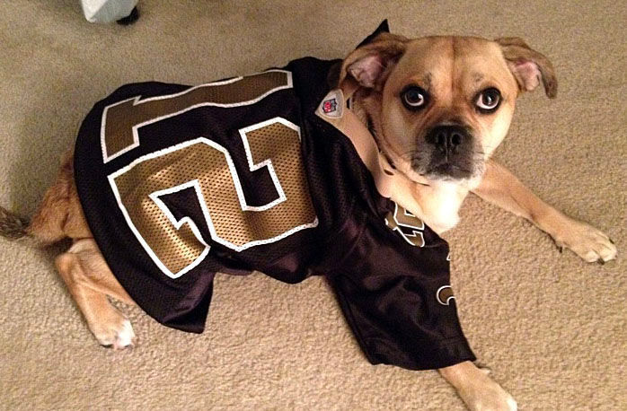 New Orleans Saints' furriest fans:  readers share their pet photos, Archive