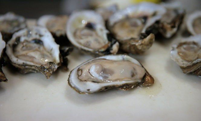 16 Places To Eat Oysters In New Orleans Right Now Where Nola Eats Nola Com