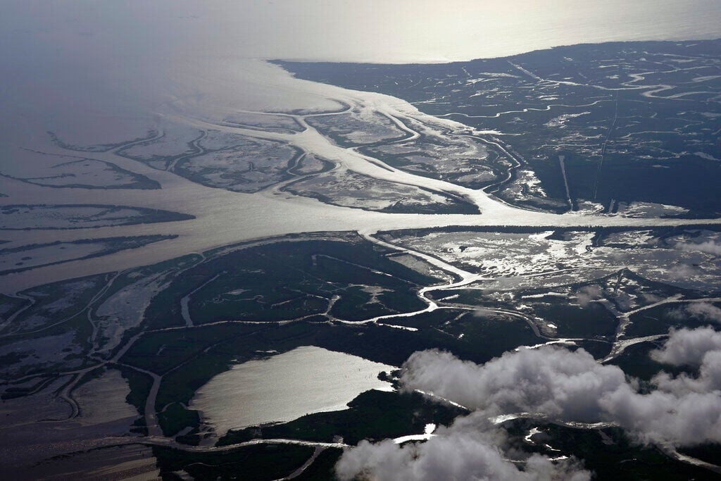 Louisiana to put first delta-dominated site in national estuary