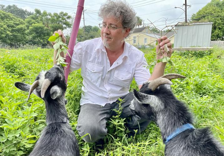 Stoo Odom and his goats