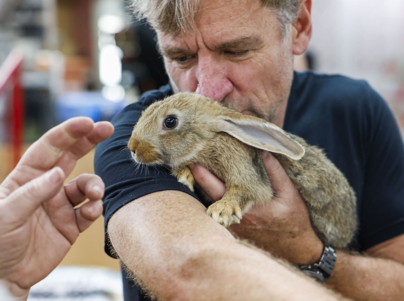 Still Going Rabbit NOLA BunnAgain rabbit rescue knows reality of pet bunny care ...