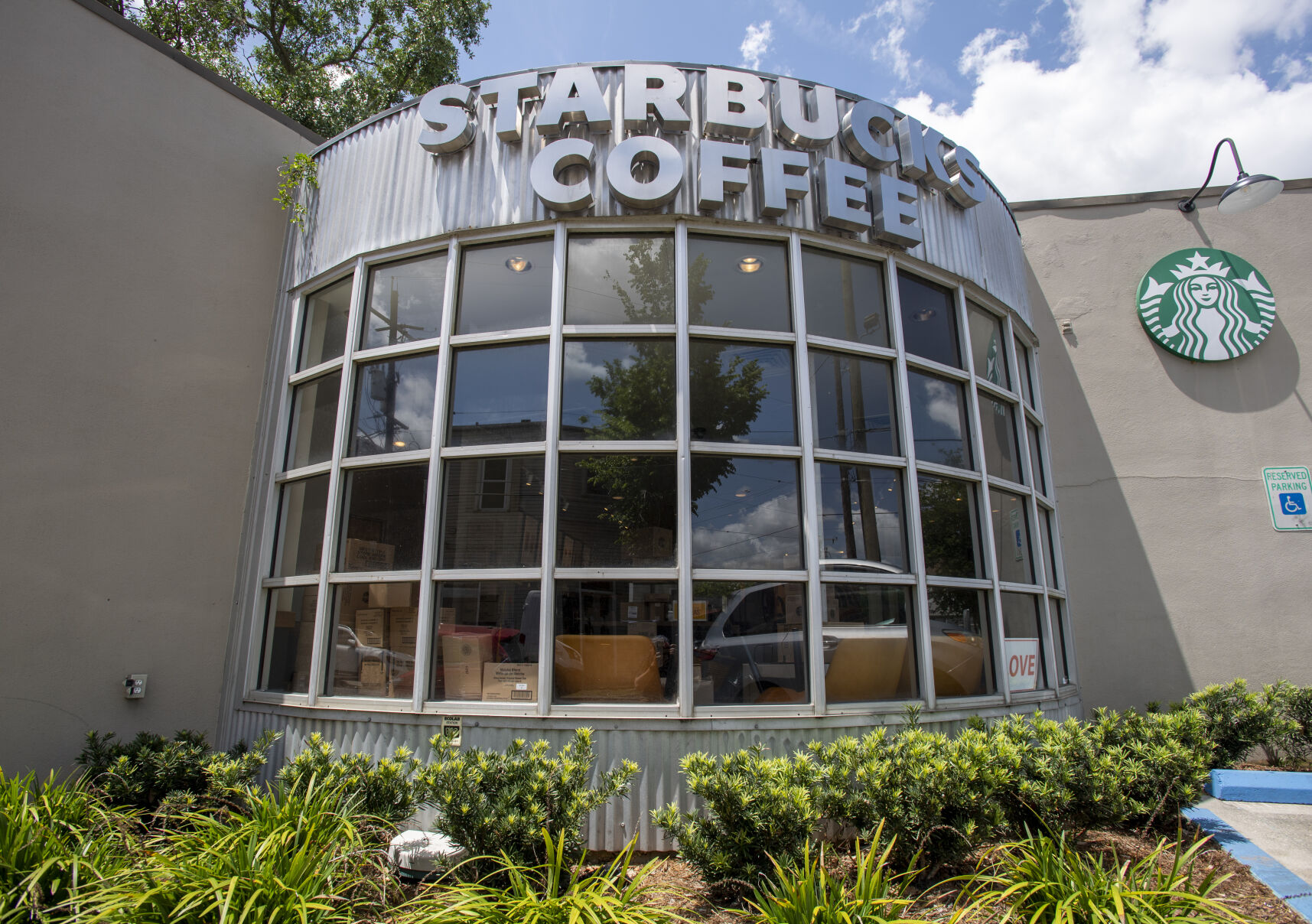 Starbucks fires New Orleans coffee shop staff member leading union