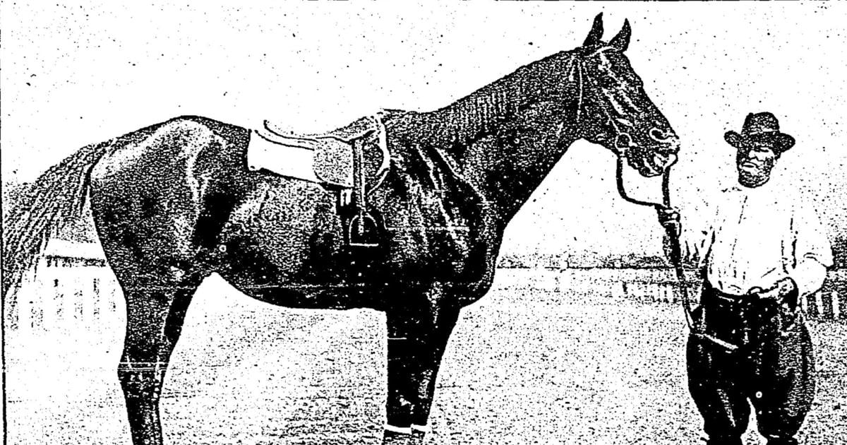 Five legendary race horses are buried at New Orleans’ Fair Grounds. Here’s the story of two.
