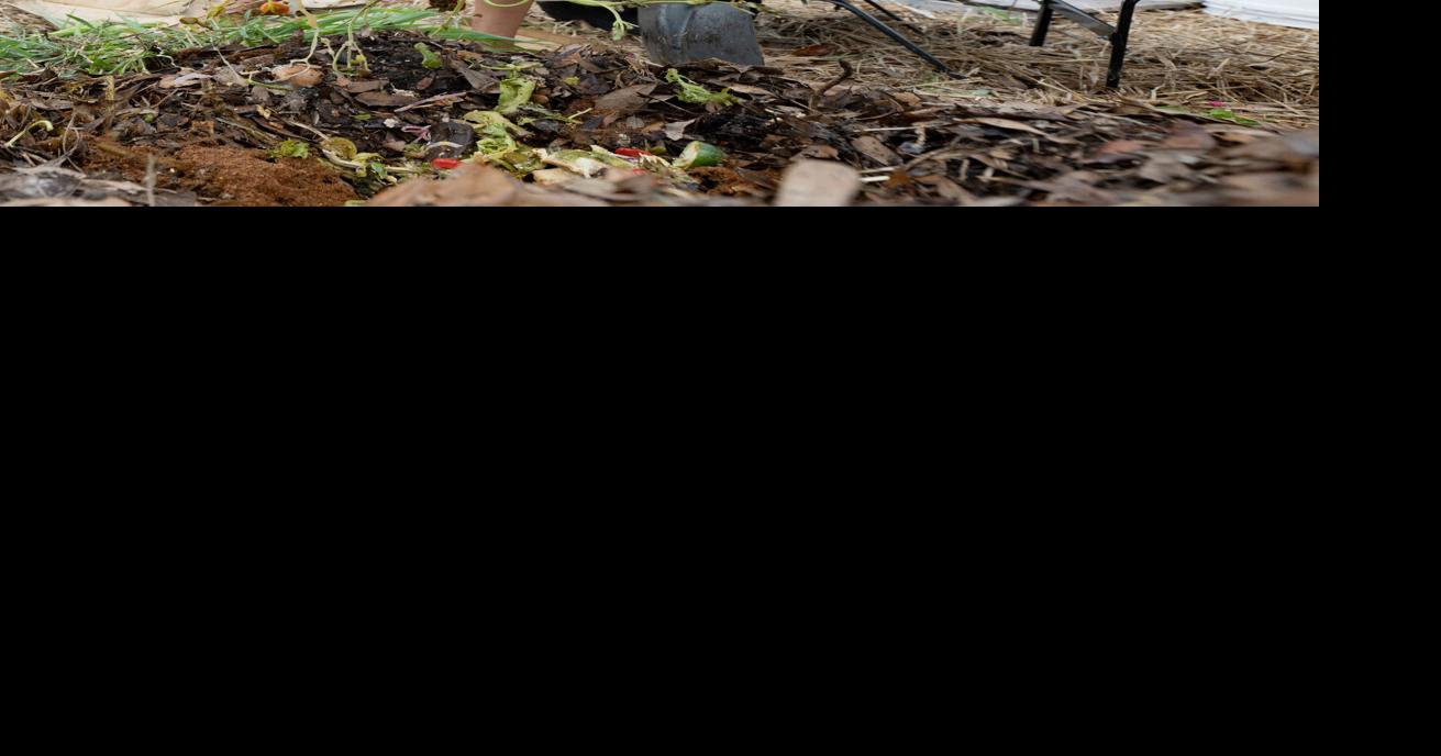 Put falling leaves to good use: Start a compost pile | Home/Garden ...