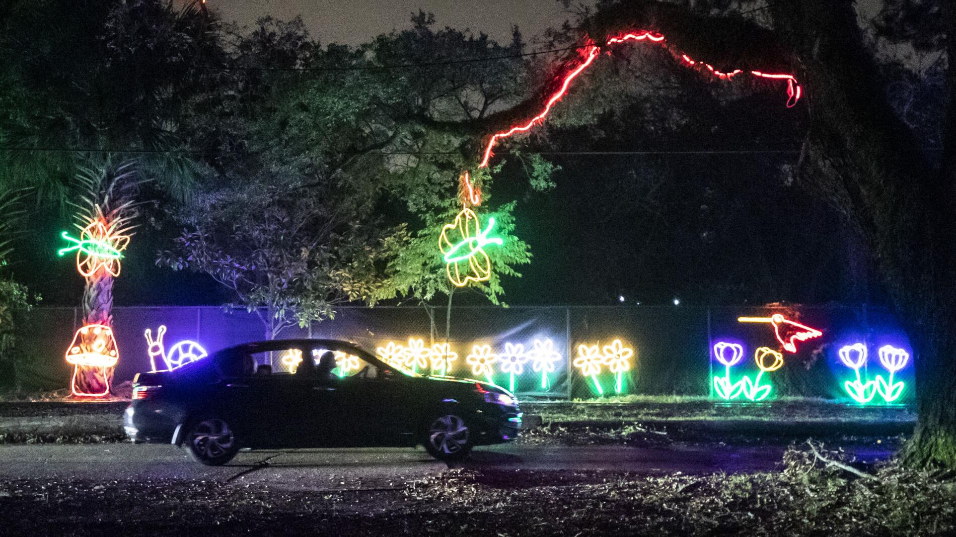 Celebration in the Oaks is back this holiday season; here's ...