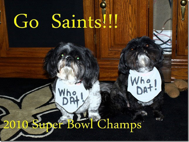 New Orleans Saints' furriest fans:  readers share their pet photos, Archive