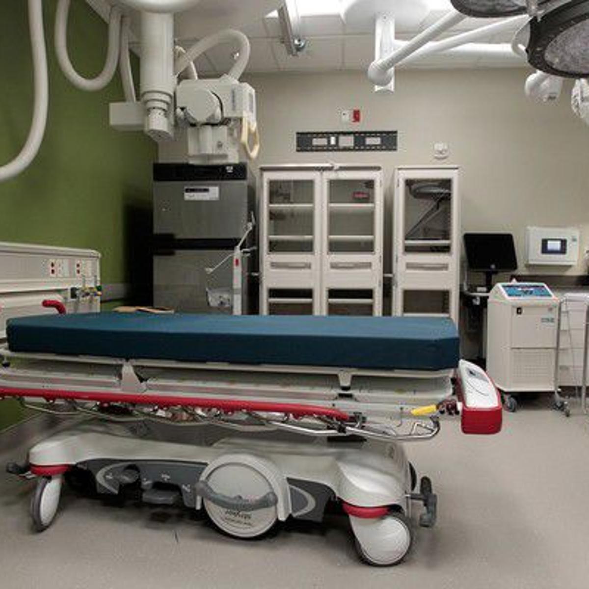 Flu Overwhelming Emergency Rooms In New Orleans Health