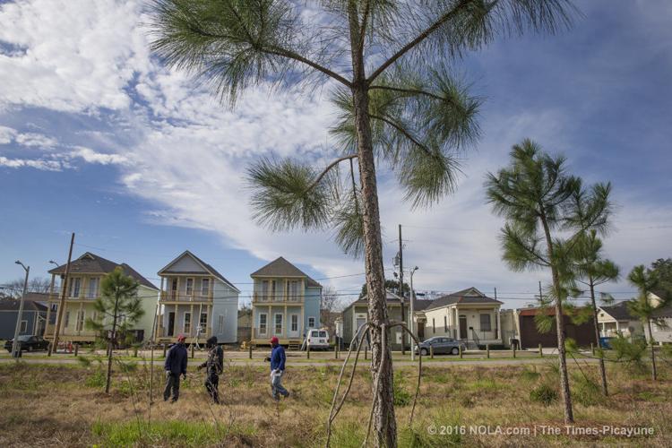 Lafitte Greenway spurring new real estate developments in 2017 Business News