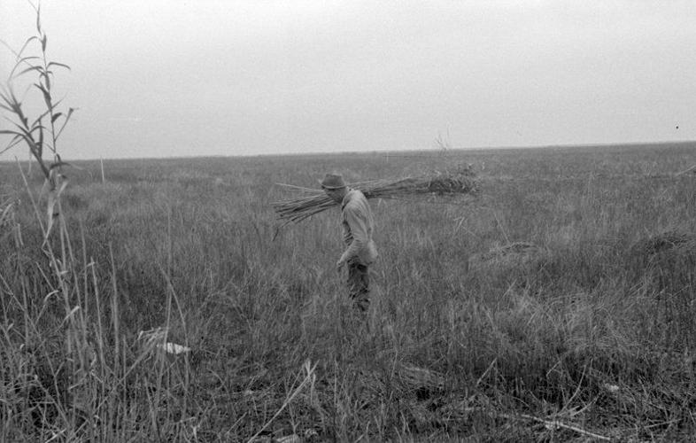 1778 The Islenos arrive in Louisiana 300 for 300