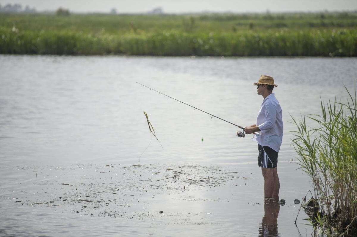 Are Louisiana Fish Safe To Eat State Mercury Testing Program In Peril As Fishing Surges During Pandemic Coronavirus Nola Com