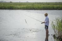 Are Louisiana fish safe to eat? State mercury testing program in peril as fishing surges during pandemic