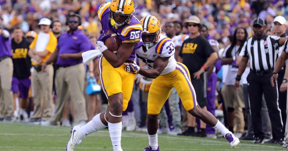 Lsu Spring Break Photos: Big hits, big stars, more at LSU spring game in Tiger Stadium ...