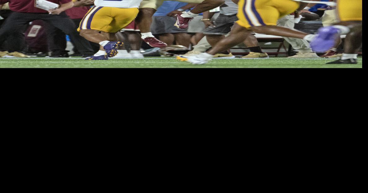 Destyn Hill: Florida State transfer WR joins LSU football | LSU