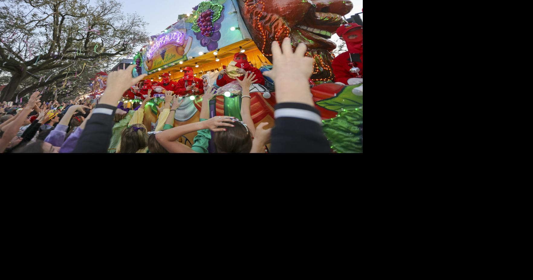 Mardi Gras history: How your favorite krewes came to be | Mardi Gras ...