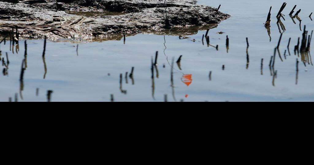 Wisner Trust to receive 30 million over 21 years from BP Environment