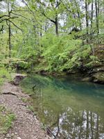 IMG_6840.jpeg