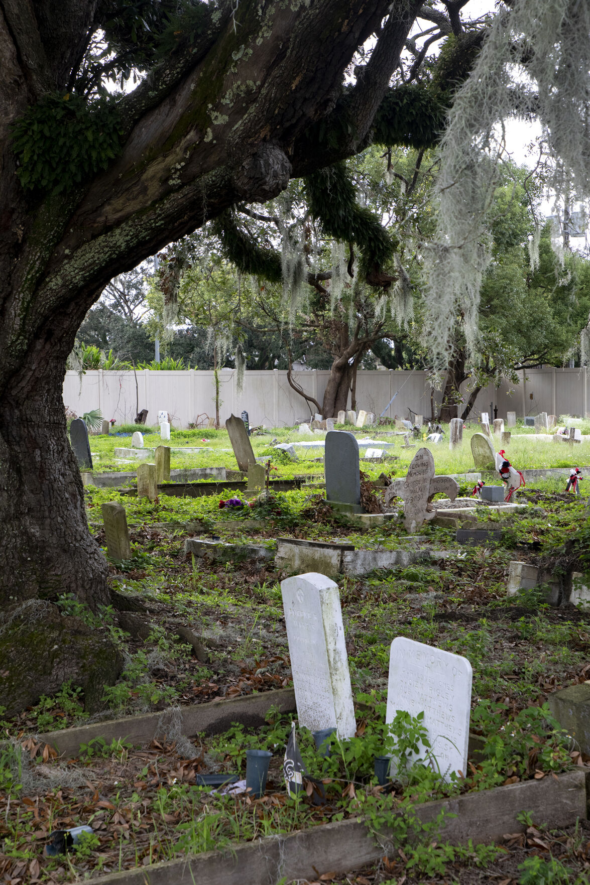 Holt Cemetery, 3-3-17