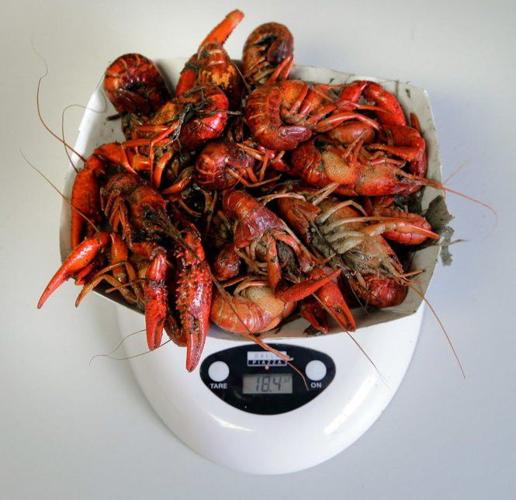 Crawfish 101: Everything you need to know to boil, buy, eat