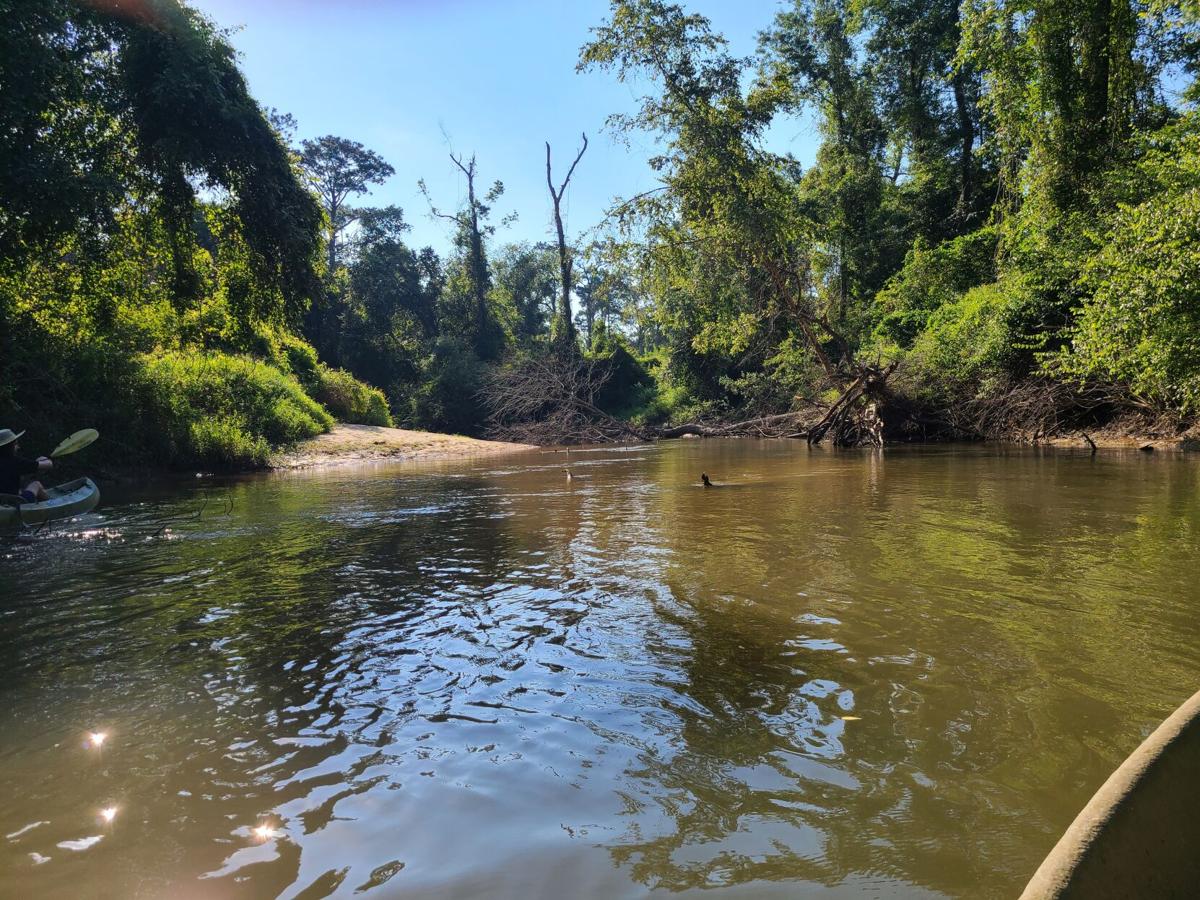 Removal of storm debris from St. Tammany Parish rivers draws calls for