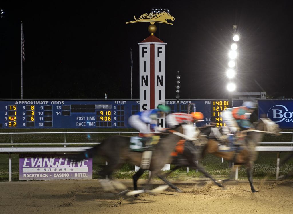 Scheme That Left Ex Louisiana Racehorses Dead Nets Penalties For New Jersey Horsewoman Crime Police Nola Com Interesting horses for adoption icareihelp situation? scheme that left ex louisiana