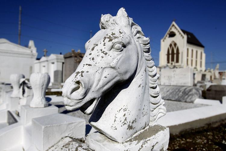 How New Orleans cured itself of yellow fever 300 for 300