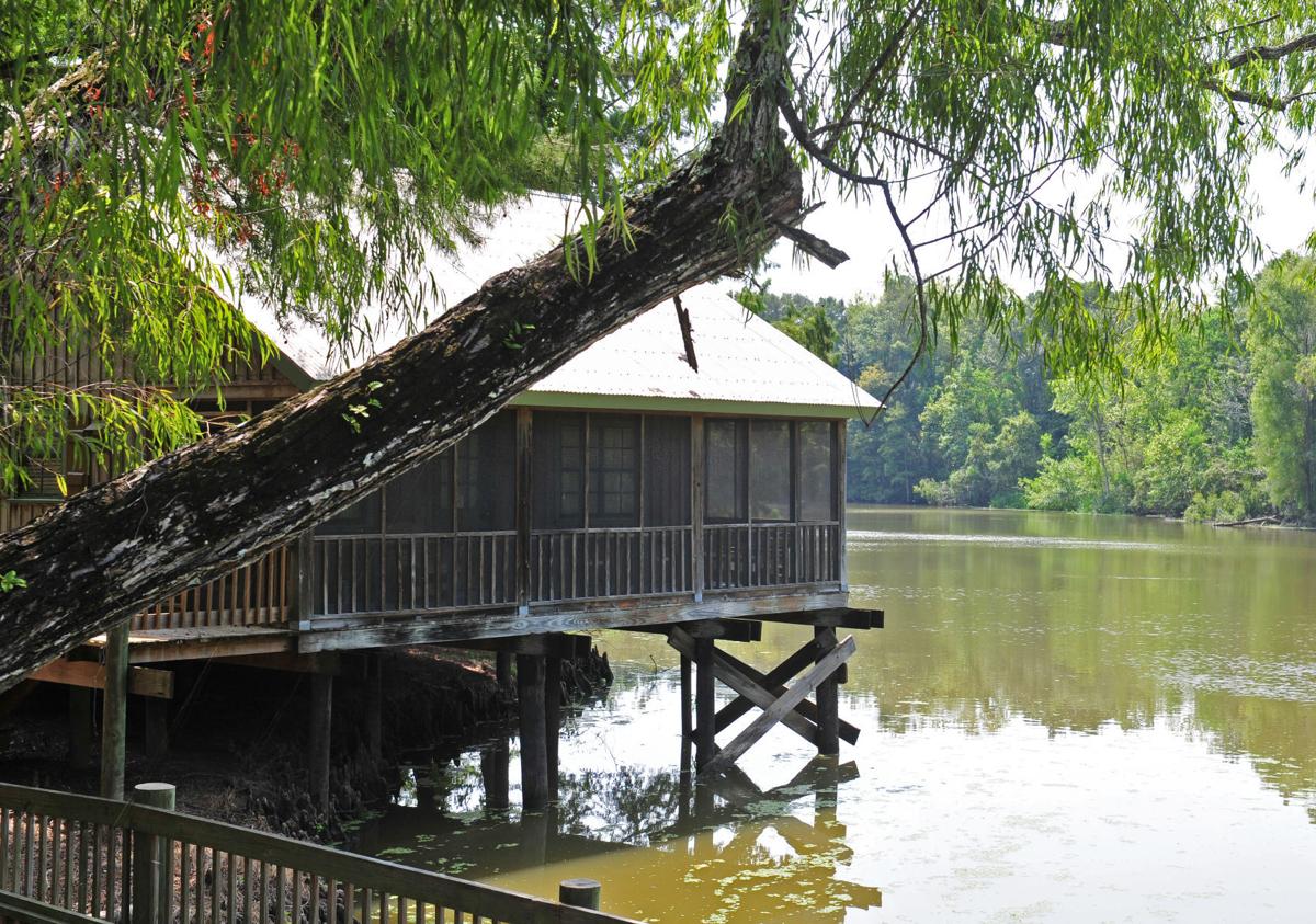 After Close Call Louisiana State Parks Can Dust Off Welcome Mat