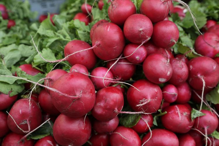 Vegetables to plant in December Home/Garden