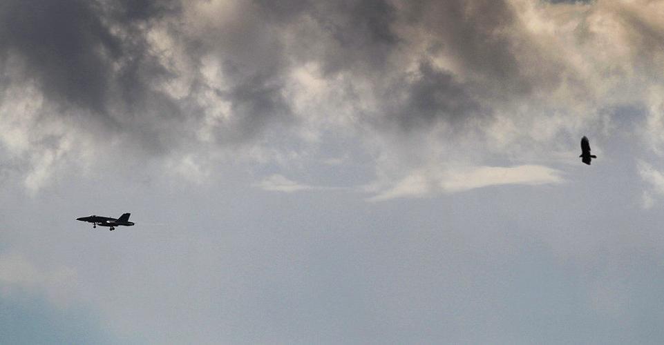 Navy's Belle Chasse air station anticipates 9month traffic increase