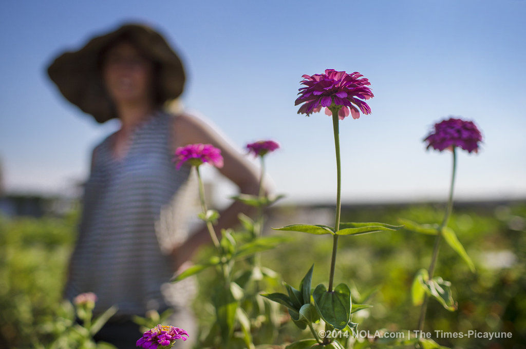 The Farm To Vase Movement Local Flower Farms Sprout On