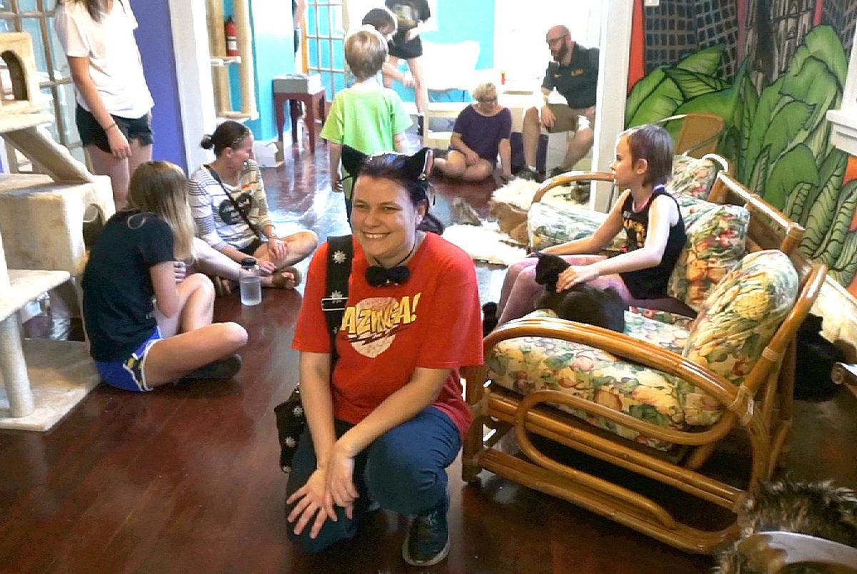 Yes People Will Pay 7 To Pet A House Cat Crescent City Cat Club