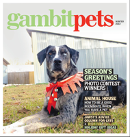 Gambit Pets: Holiday 2023