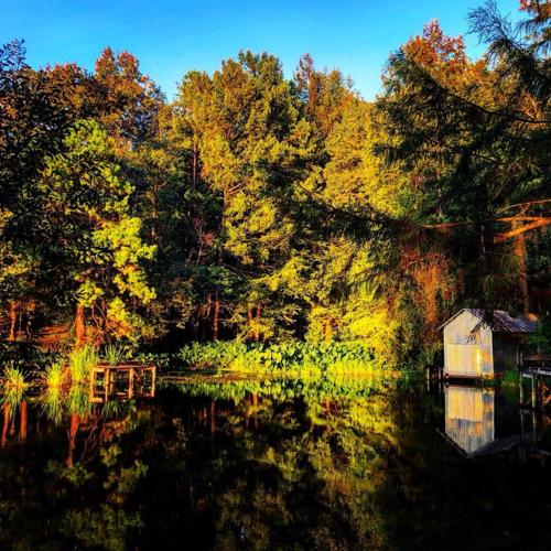 Cotile Lake is one of Louisiana's best kept secrets Entertainment