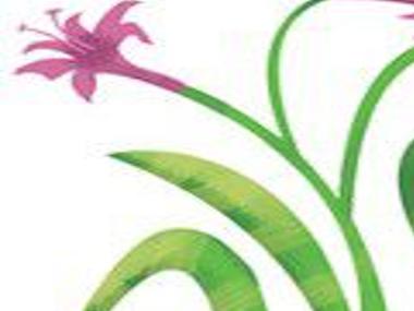Take Plant Toxins Seriously Home Garden Nola Com