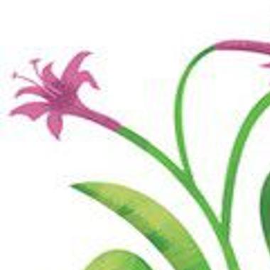 Take Plant Toxins Seriously Home Garden Nola Com
