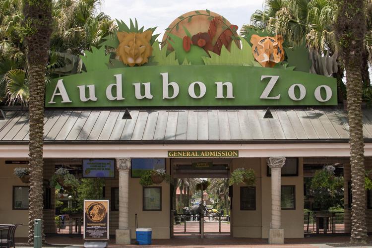 Here’s how to get free admission to the Audubon Zoo and aquarium in New