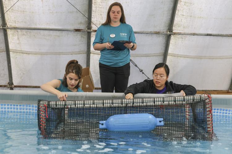 Endangered turtles receiving critical care in New Orleans | Environment ...