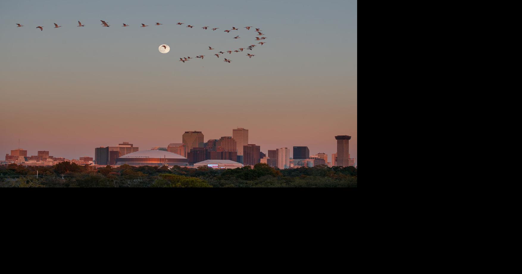 Here are the New Orleans bills to watch during Louisiana’s 2026 legislative session