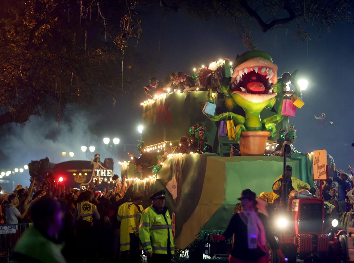 Happy birthday Muses! The parade that rocked Mardi Gras turns 20 on