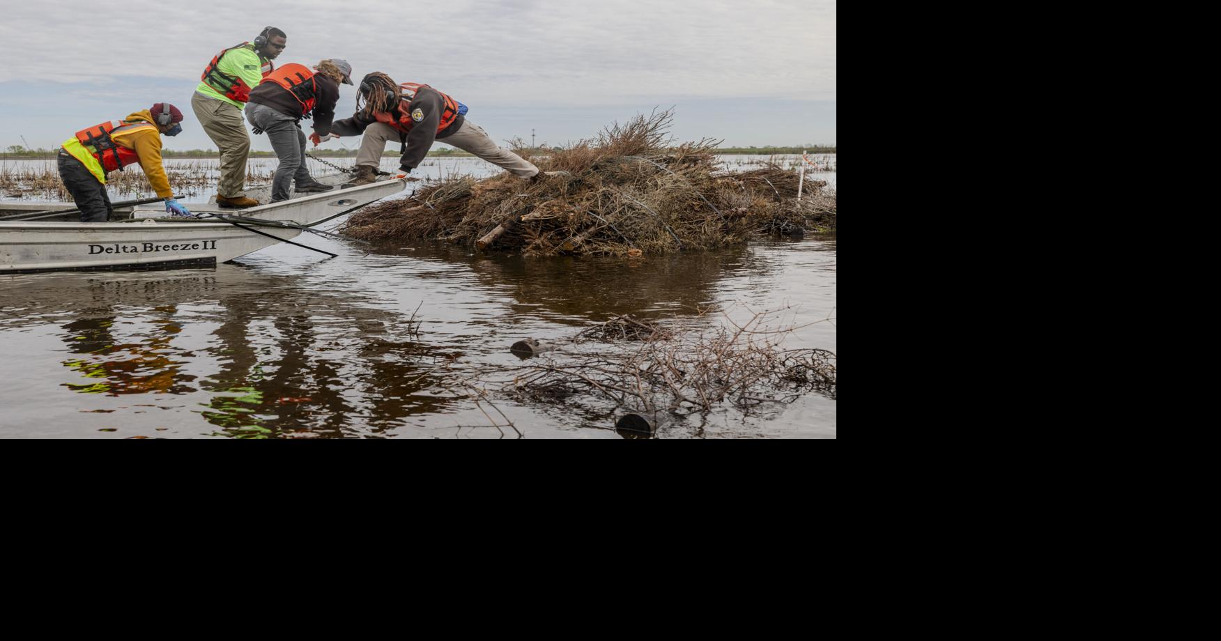 Help boost New Orleans-area marshes by recycling Christmas trees. See these pick-up instructions.