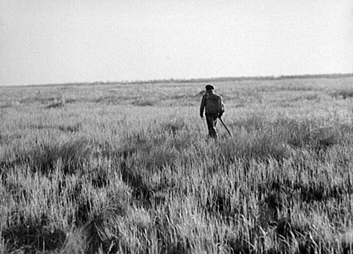 1778 The Islenos arrive in Louisiana 300 for 300