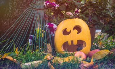 Carved,Pumpkin,Lamp,And,Autumn,Garden.,Traditional,Halloween,Decorations