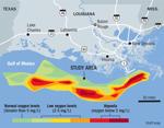 This year's 'dead zone' in the Gulf is the 3rd smallest yet. We have Hurricane Hanna to thank.