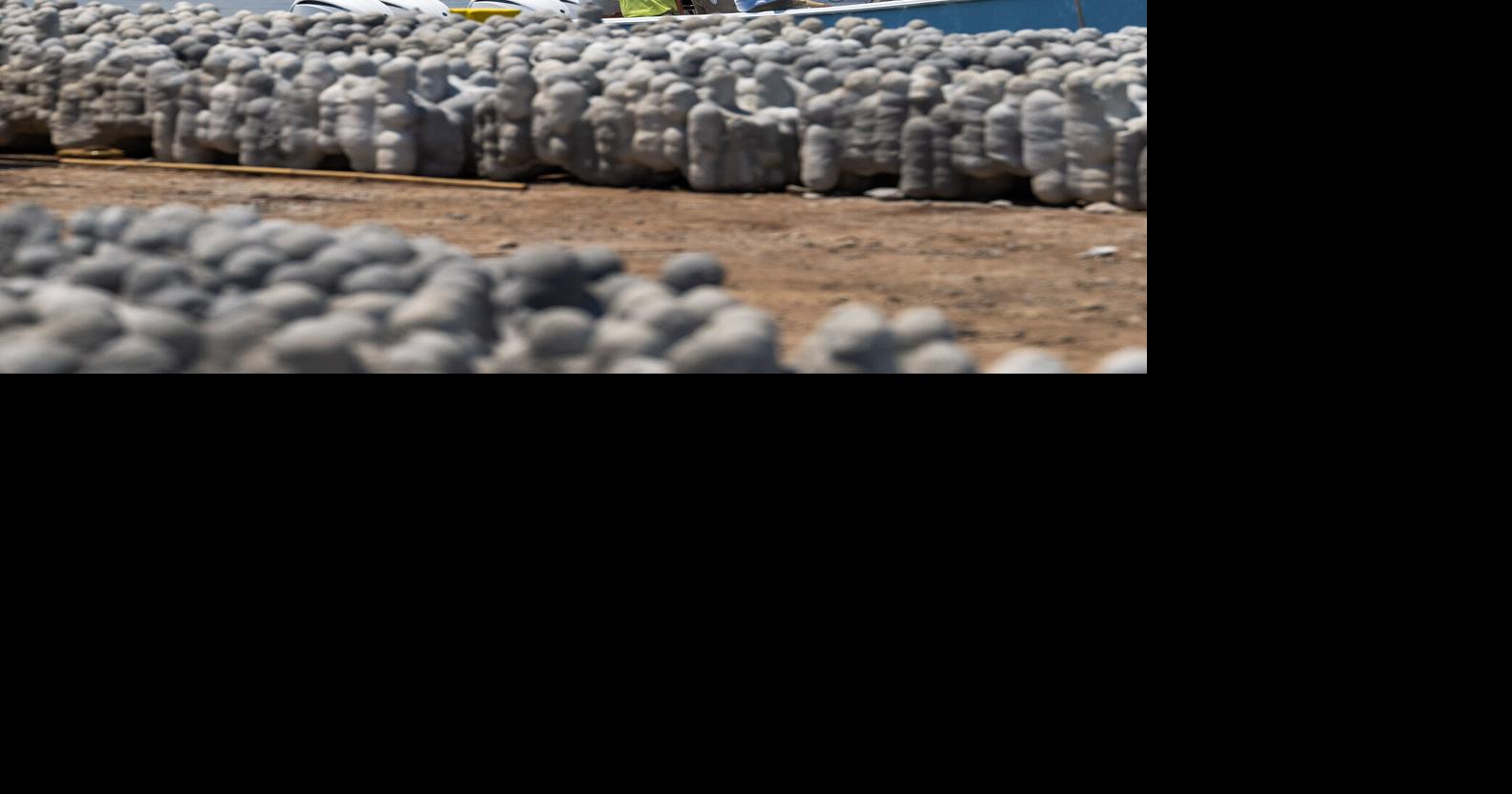 “Cajun coral” forms artificial reef off the coast of Louisiana | Environment