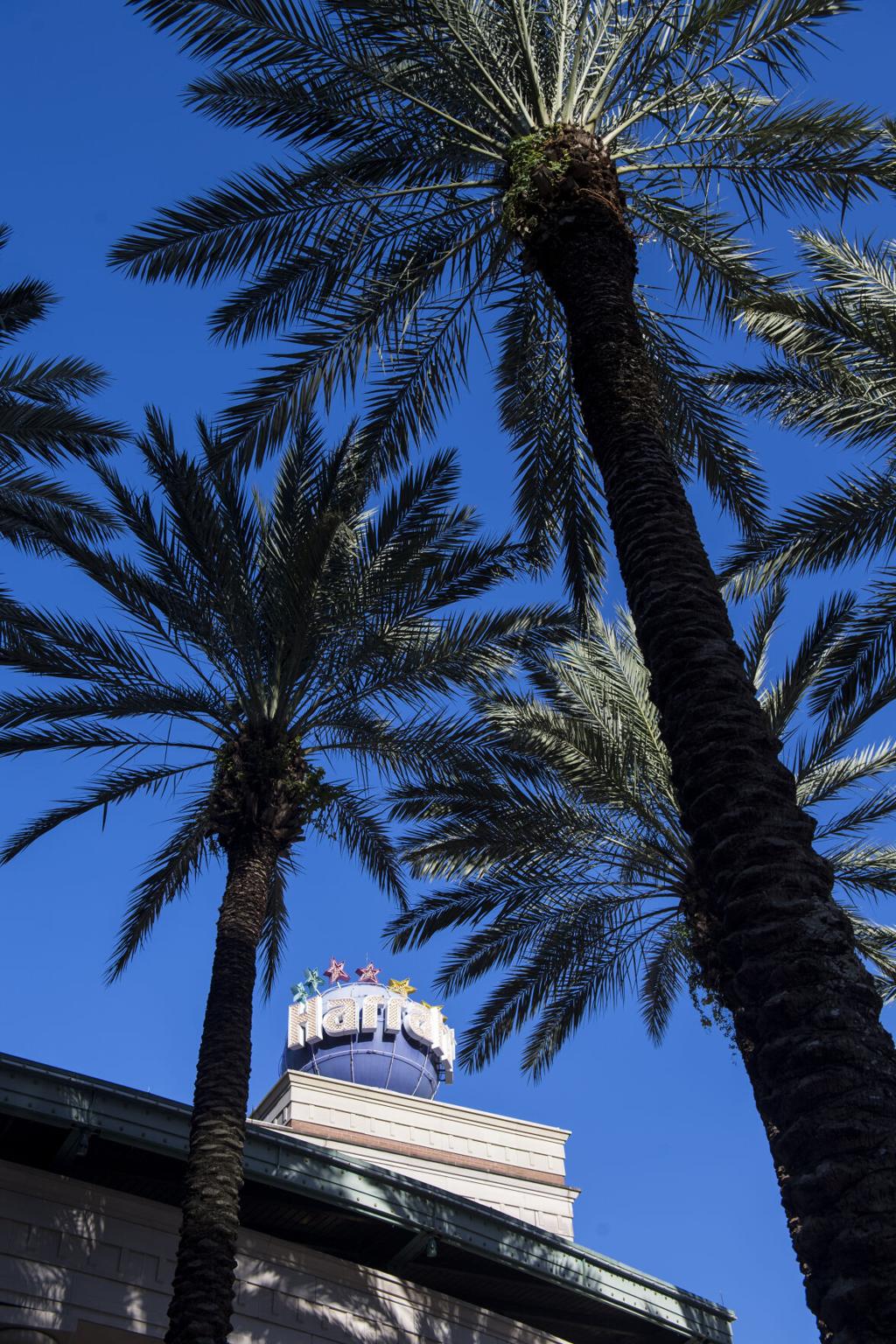 Treasure Chest Casino Kenner La Reopening